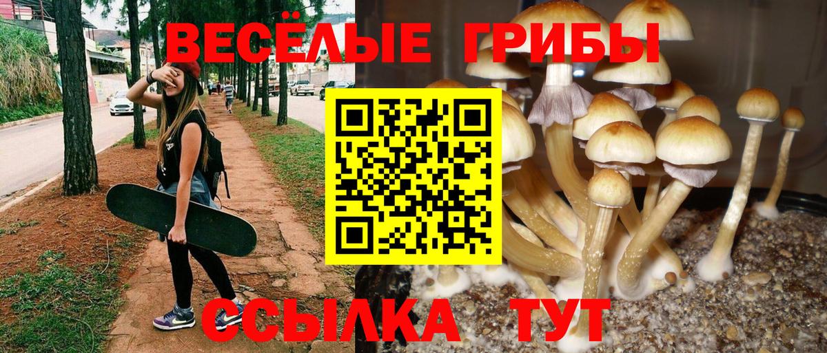 Бугуруслан  где можно купить   Вход с VPN  Псилоцибиновые грибы GOLDEN TEACHER  Псилоцибиновые грибы ЛСД 
