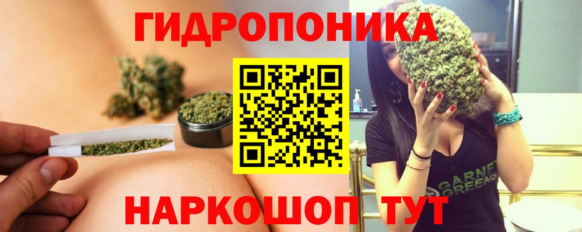 Шишки марихуана гибрид  Марихуана Bruce Banner  Бошки марихуана ГИДРОПОН  Бугуруслан  Вход с VPN 